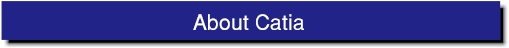 Title Bar